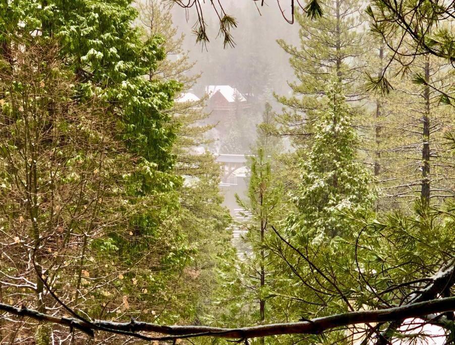 Glimmer Chalet Treetop A-Frame Cabin Lake View Lake Arrowhead Exterior foto